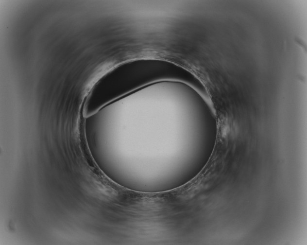 X0000097820292200803140812