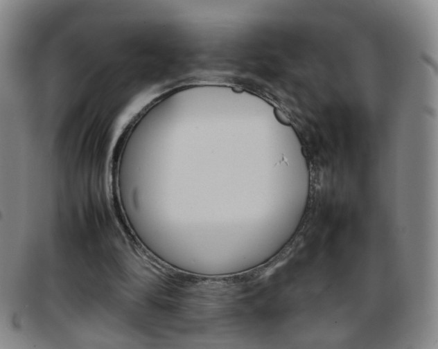 X0000097820294200803140812