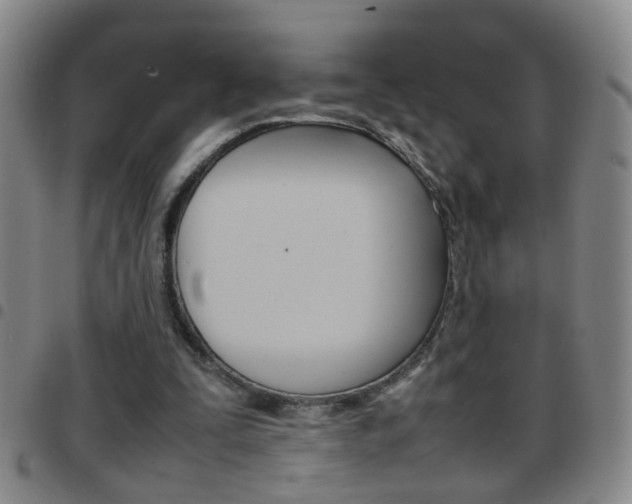 X0000097820295200803140812