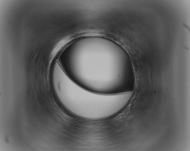 X0000097820296200803140812