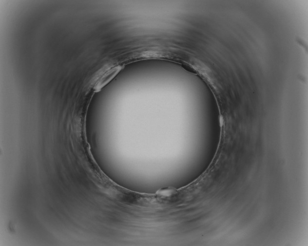 X0000097820297200803140812