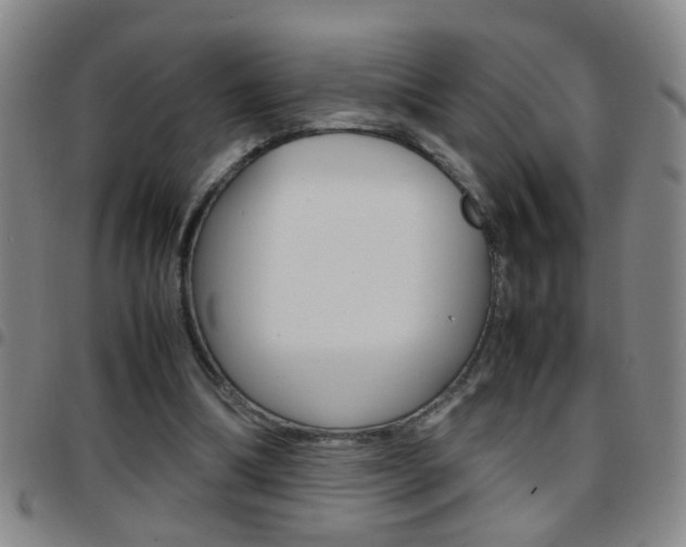 X0000097820298200803140812