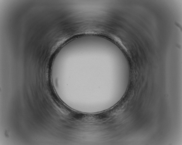 X0000097820299200803140812