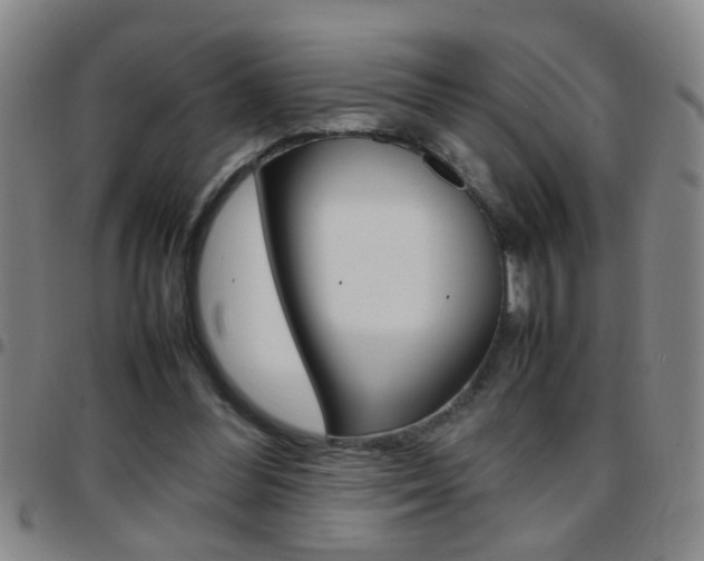 X0000097820300200803140812