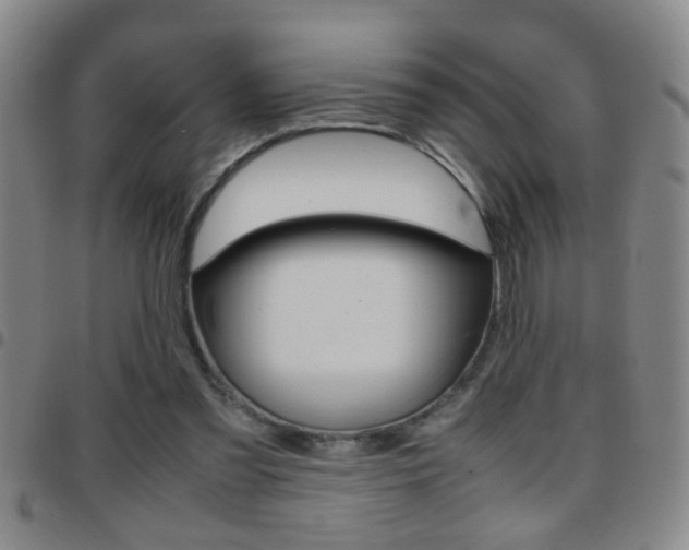 X0000097820301200803140812