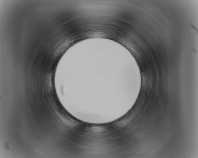 X0000097820302200803140812