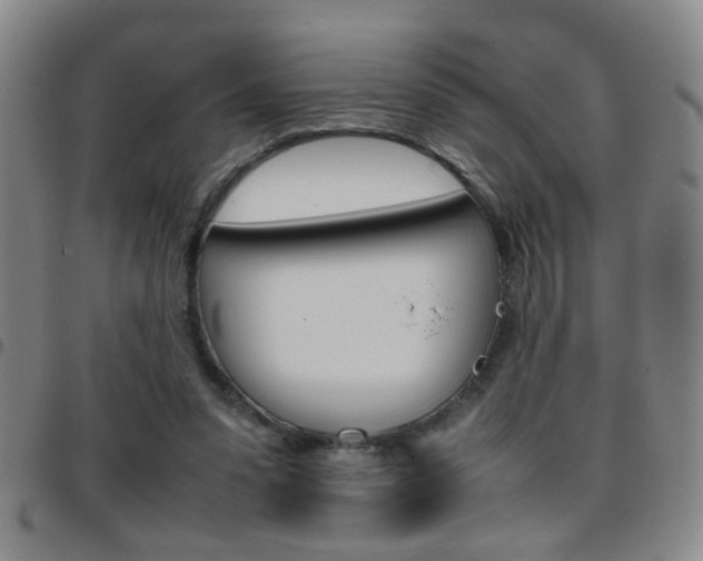 X0000097820303200803140812