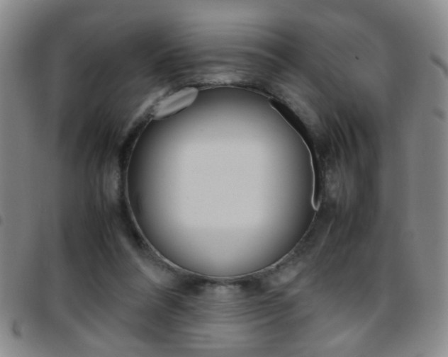 X0000097820304200803140812