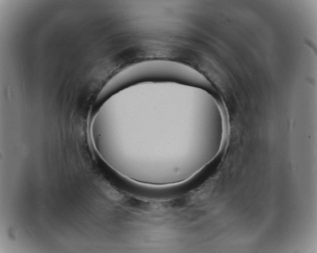 X0000097820305200803140812