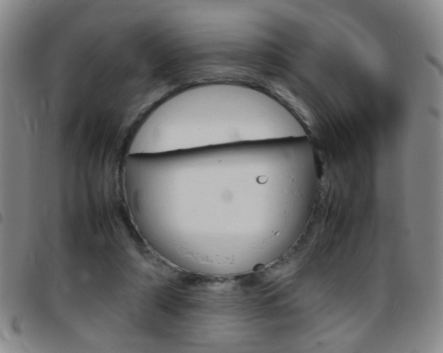 X0000097820306200803140812