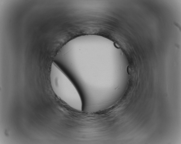 X0000097820307200803140812