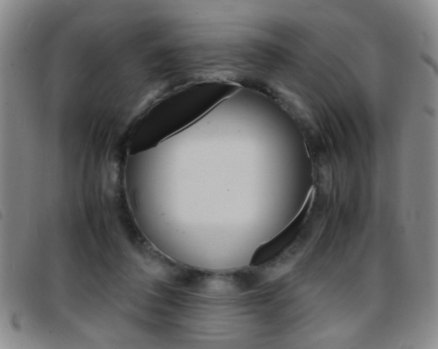 X0000097820308200803140812