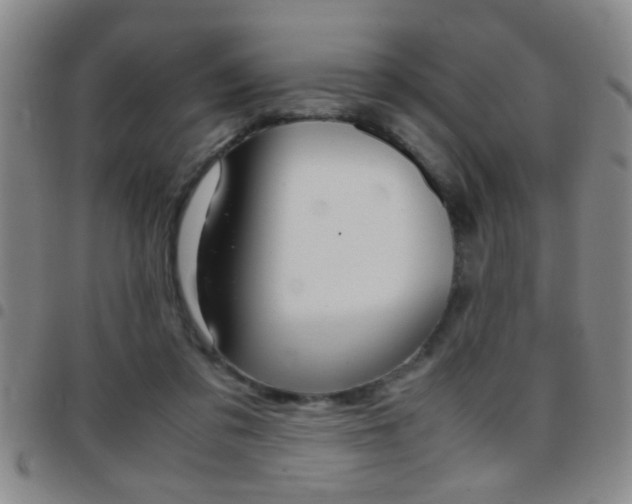 X0000097820309200803140812