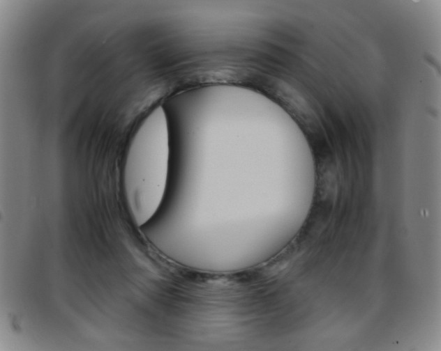 X0000097820310200803140812