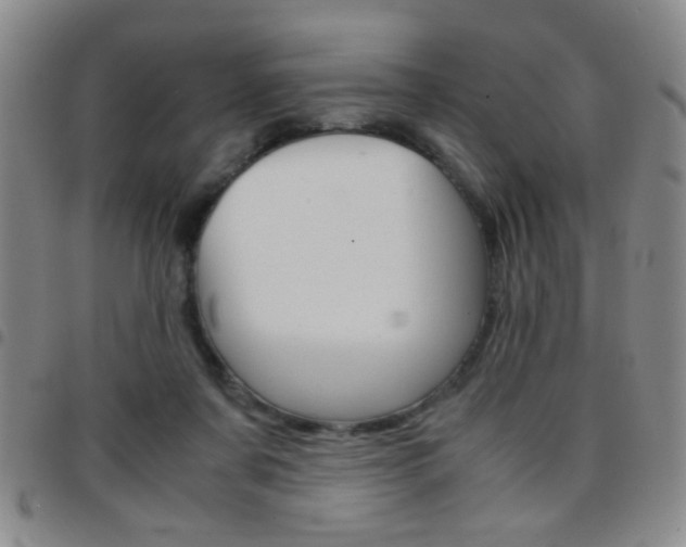 X0000097820311200803140812