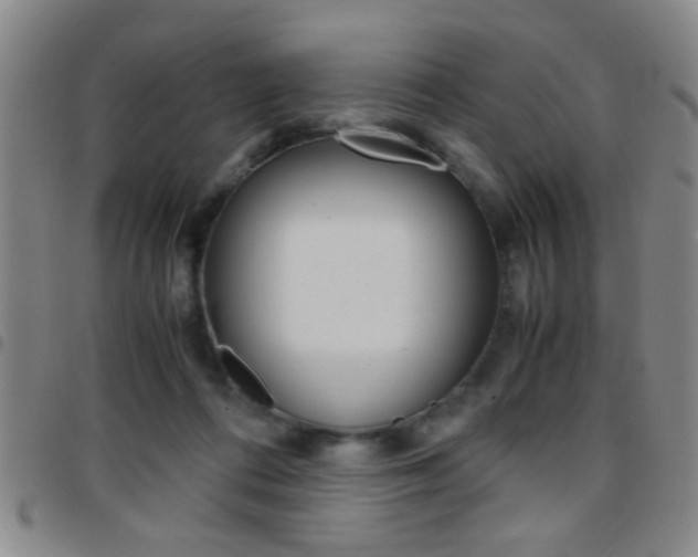 X0000097820312200803140812