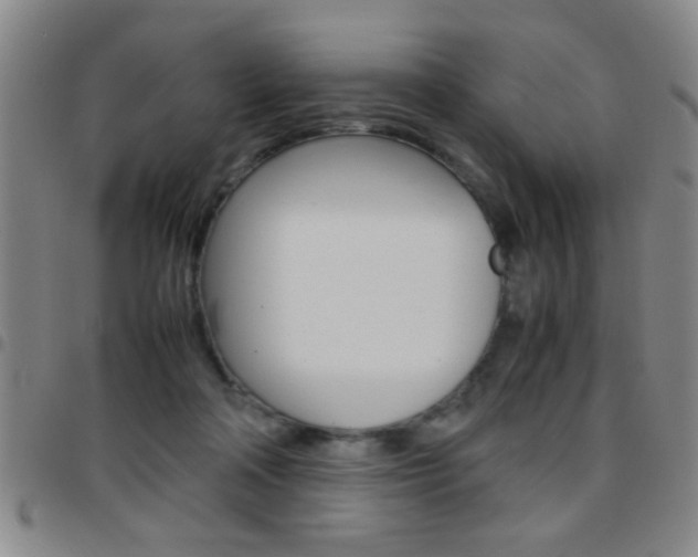 X0000097820314200803140812