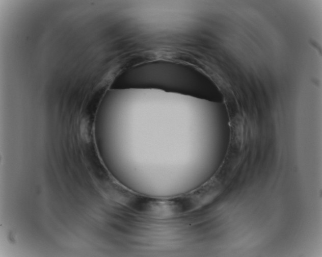 X0000097820316200803140812