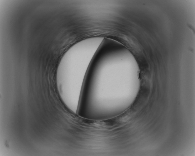 X0000097820317200803140812