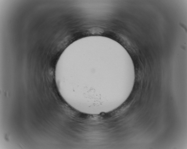 X0000097820321200803140811