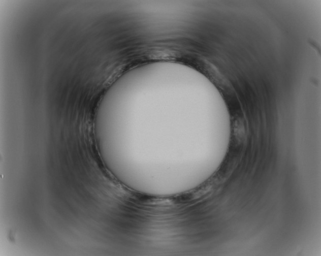 X0000097820322200803140811
