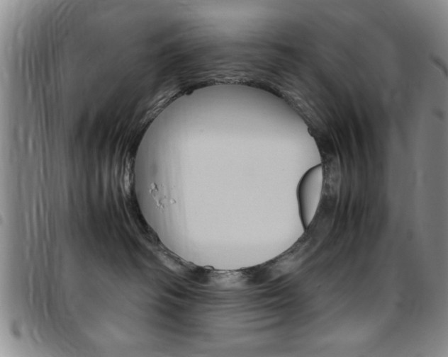 X0000097820334200803140811