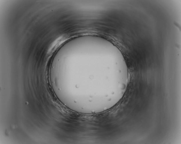X0000097820339200803140811