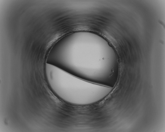 X0000097820345200803140811