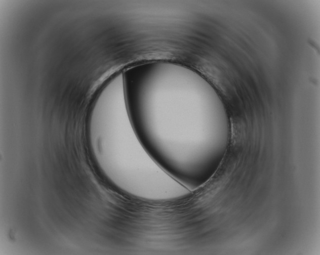 X0000097820348200803140811