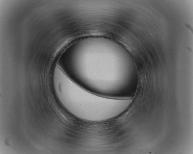 X0000097820350200803140811