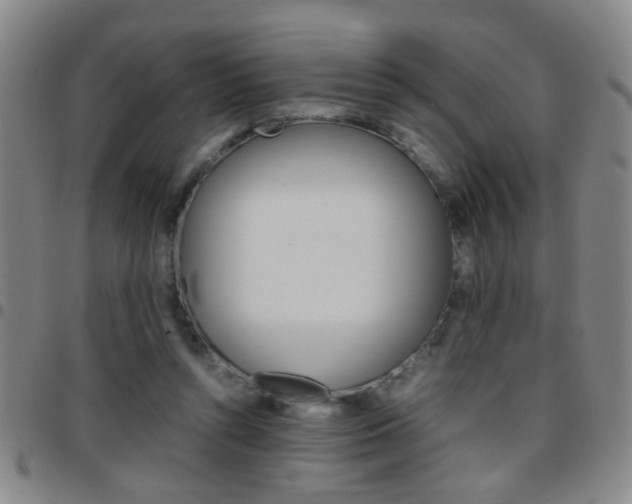 X0000097820352200803140811