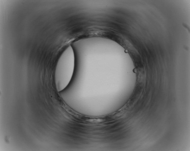 X0000097820363200803140811