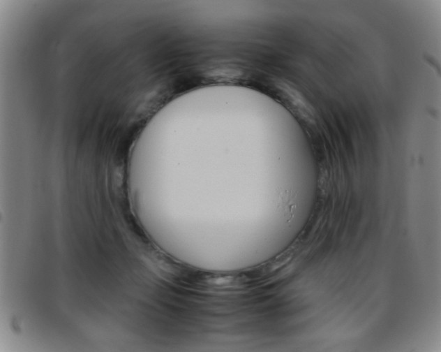 X0000097820365200803140811