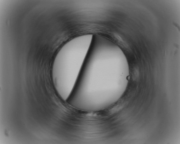 X0000097820366200803140811