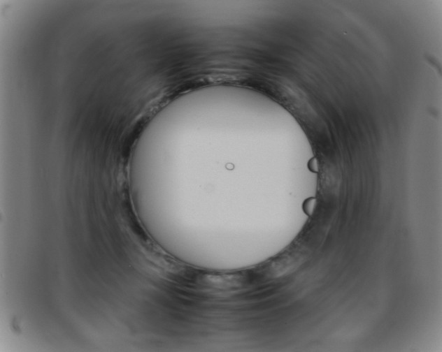 X0000097820367200803140811