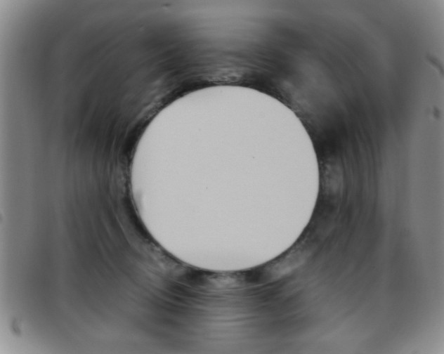 X0000097820370200803140811