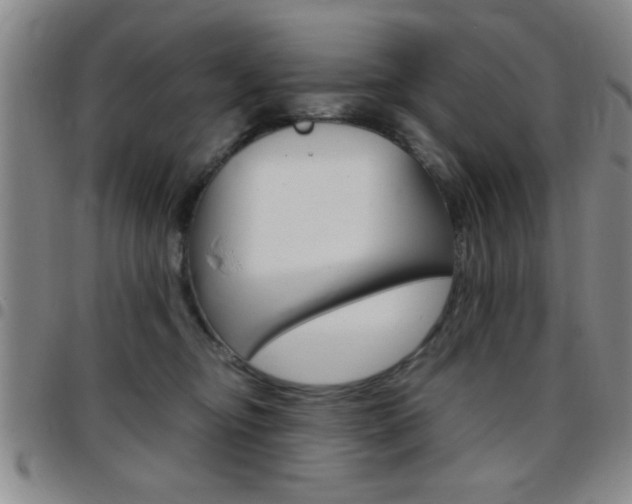 X0000097820374200803140811