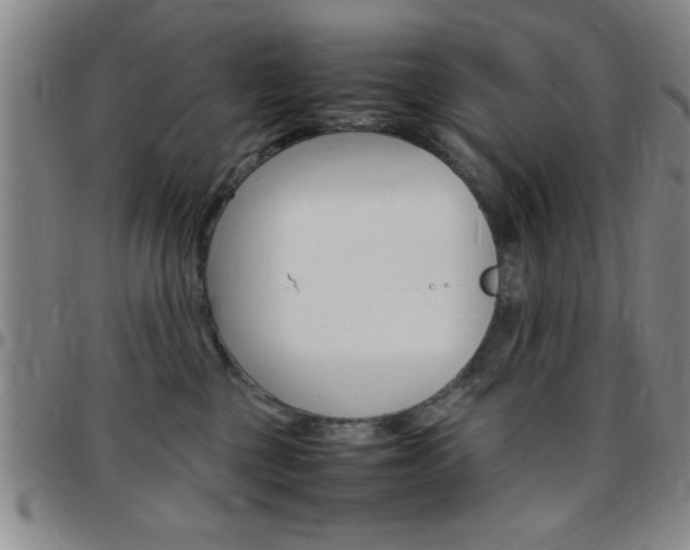 X0000097820377200803140811
