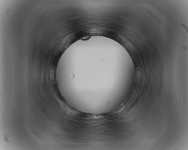 X0000097820379200803140811