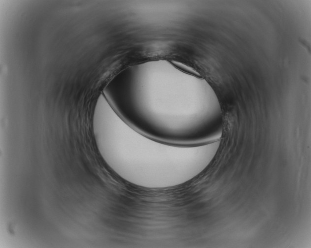 X0000097820380200803140811