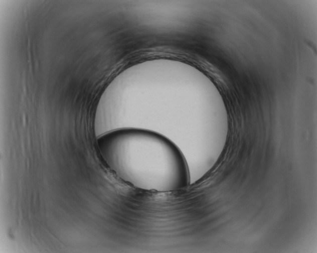 X0000097820382200803140811