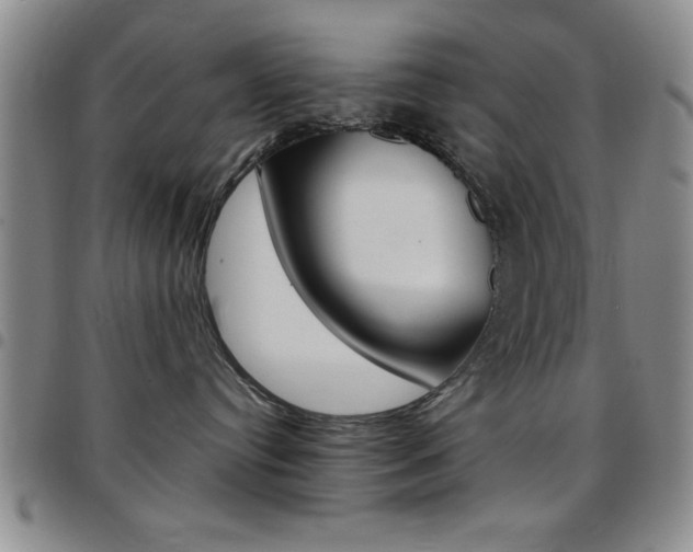 X0000097820384200803140811