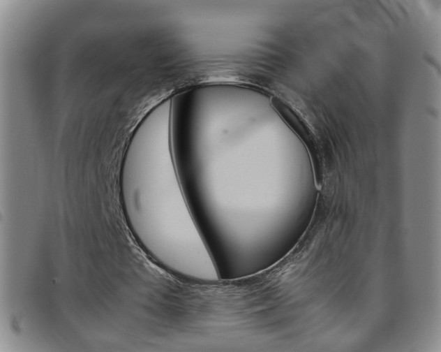 X0000097820385200803140811