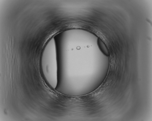 X0000097820386200803140811