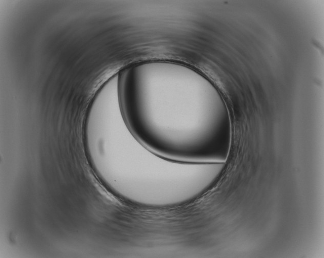 X0000097820389200803140811