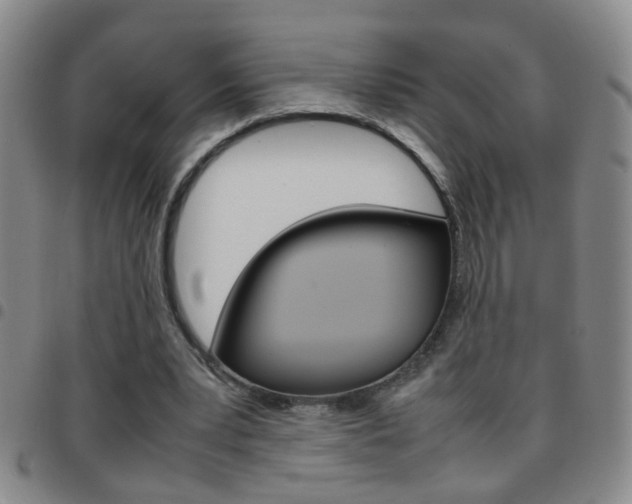 X0000097820391200803140810