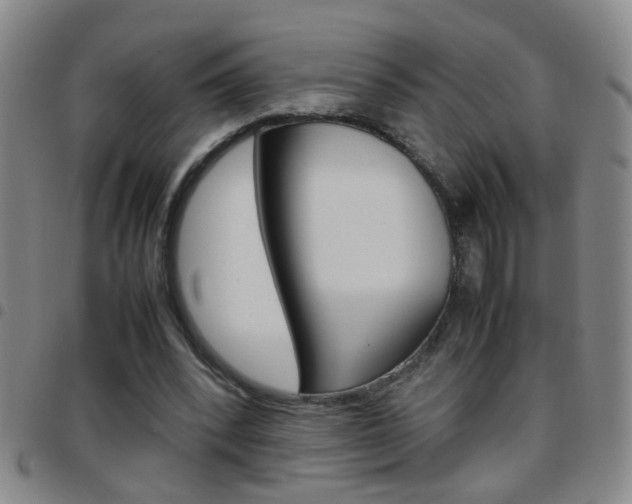 X0000097820392200803140810