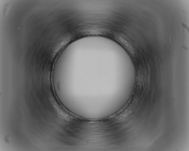 X0000097820394200803140810