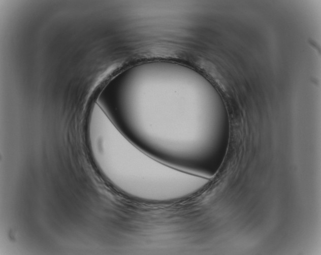 X0000097820395200803140810