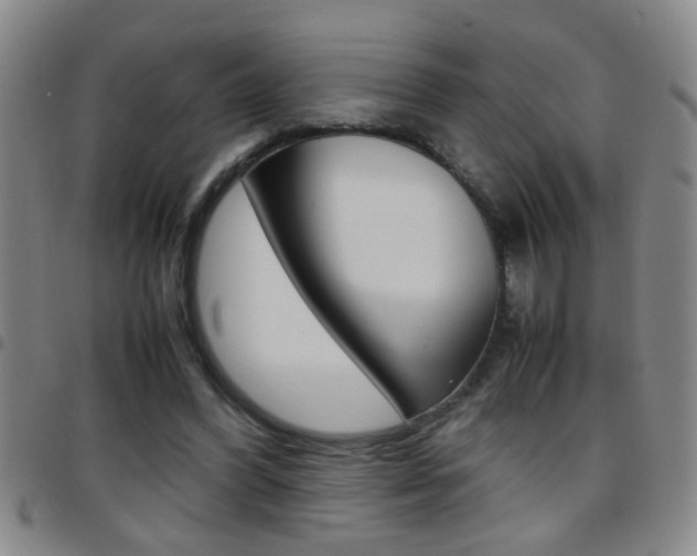 X0000097820396200803140810
